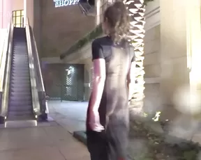 NicoleNiagara Slut In A See Through Dress