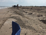 Hollyhotwife picking up a stranger on the beach show premium liveporn livesex