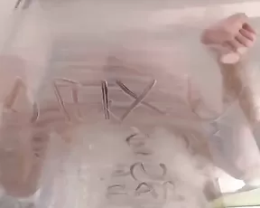 busty MILF fucks friend