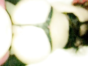 KittyxKum daddy makes me feel good show premium liveporn livesex1