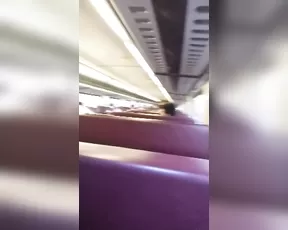 JazmineLust public train 2 show premium liveporn livesex