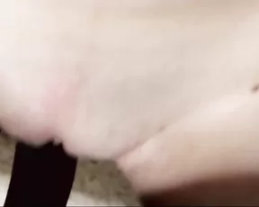 Entirelyfree harley quinn getting nailed show premium manyvids liveporn livesex1