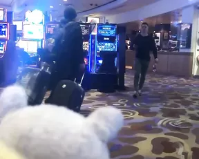 Maricahase show trip to avn 5i flash roadtrip asian public flashing free manyvids liveporn video