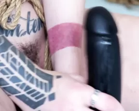 HannibalDamage small spaces large toy show premium liveporn livesex1