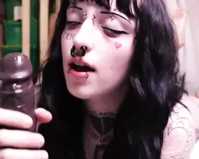 Trasshkitten black cock worship bj dirty talk show premium liveporn livesex