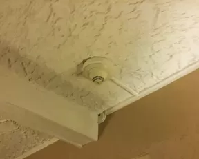 CandieCane peeing hotel hallway show premium liveporn livesex1