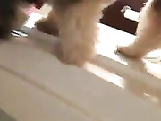 Nude Luna Star and her dog premium free cam & manyvids porn livesex1