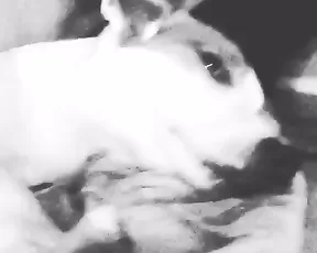 Lexi Dona and her dog premium free cam snapchat & manyvids porn livesex1