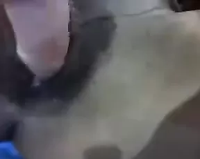 College Girl Gives Awesome Head