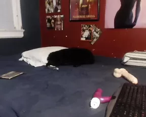 Amateur busty skank gets fucked in the ass