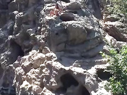 Davina Davis jumps off a cliff premium free cam snapchat & manyvids porn videos