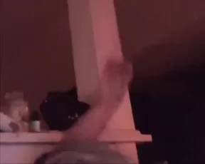 Baby eve enjoy HD porn tattooed women free videos