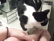 Nude Jenna J Ross and her cat #JennaJRoss premium free cam & manyvids porn videos