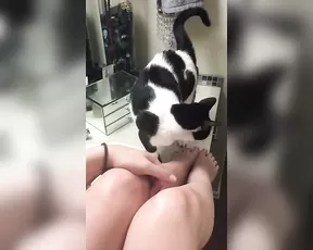 Nude Jenna J Ross and her cat #JennaJRoss premium free cam & manyvids porn videos