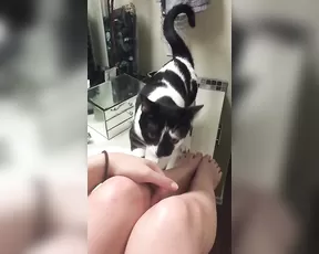 Nude Jenna J Ross and her cat #JennaJRoss premium free cam & manyvids porn videos