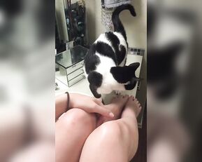 Nude Jenna J Ross and her cat #JennaJRoss premium free cam & manyvids porn videos