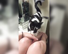 Nude Jenna J Ross and her cat #JennaJRoss premium free cam & manyvids porn videos