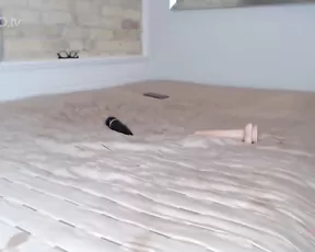 Foxxxymegan dildo bj & fuck chaturbate nude camwhores bg couple xxx cam porn videos