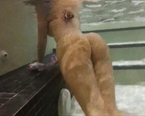 MissBella__ Bellabrookz big ass under water