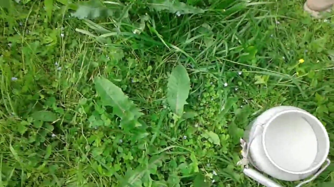 Sextaseptima Milk Enema Blowjob Peeing Outdoors Live Porn