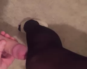 Bella BooX Heel Worship POV ManyVids Free Porn Videos