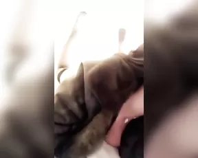 Yungx Cutie (Stefania Ta) quick naked teasing bed snapchat free