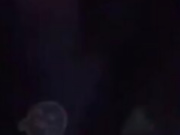 Lee Anne night boobs flashing car snapchat free