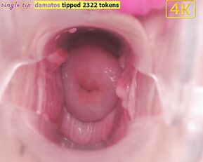 _pinkrose_ Chaturbate what\'s inside vagina - cam video