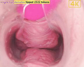 _pinkrose_ Chaturbate what\'s inside vagina - cam video