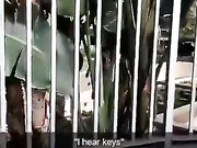 Andie Adams public glass dildo masturbation snapchat free