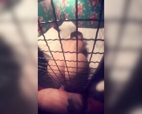 Tiffany Cappotelli doggy style sex POV blowjob snapchat free