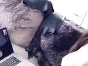 Lela Star webcam masturbation snapchat free