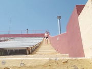 Alex More Butt ass - onlyfans free porn