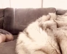 Faunagrey stressrelease MFC webcams MyfreepaySite masturbation clips