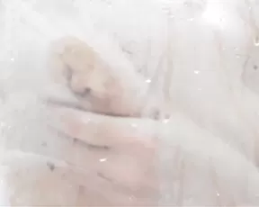 Audreysparksxxx shower hairy pussy finger Chaturbate webcam vids