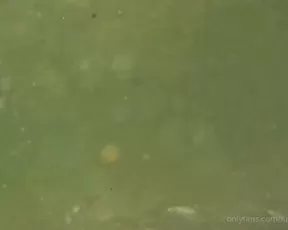 Kisafae the little fishies gave me kisses xxx onlyfans porn livesex