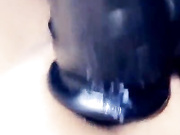 Bosnian Beauty BBC dildo - onlyfans free porn