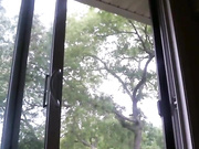 Ava Arachnie Tattooed babe fucks herself bath | ManyVids Free Porn Videos