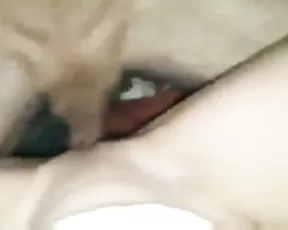 Cuck0ld fantasy 18 10 2019 SHARE YOUR GF WHIT HER EX Dicen que los CuernosConsentidos ayudan a show chat live porn