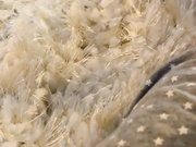 erotichigharchs 08 10 2020 In case if you missed my ig live tonight xxx onlyfans nude live porn