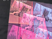 petalsusa 20 11 2019 7838 xxx onlyfans nude live porn