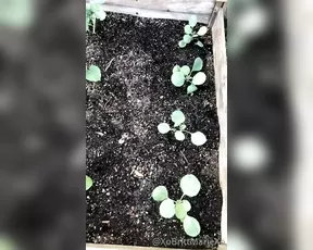 xobrittmariexo And last plant live porn post for the contest going on show chat live porn
