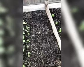 xobrittmariexo And last plant live porn post for the contest going on show chat live porn