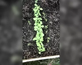 xobrittmariexo And last plant live porn post for the contest going on show chat live porn