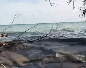 robincoffins public pov beachjob blowy show chat live porn live sex