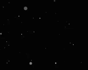 jupiter bunny chat live video leaked