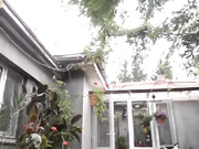 Teen Dirty Talks Like Crazy