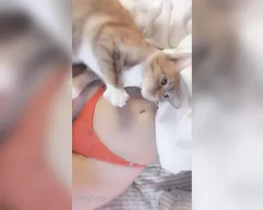 rileyfans show chat live porn live sex 1