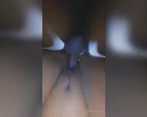 persialeone11 back shots are my favorite i recorded the best angle show chat live porn live sex 1