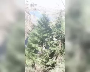 lunalanieee heavy breathing i upset birds with my ass ( show chat live porn live sex